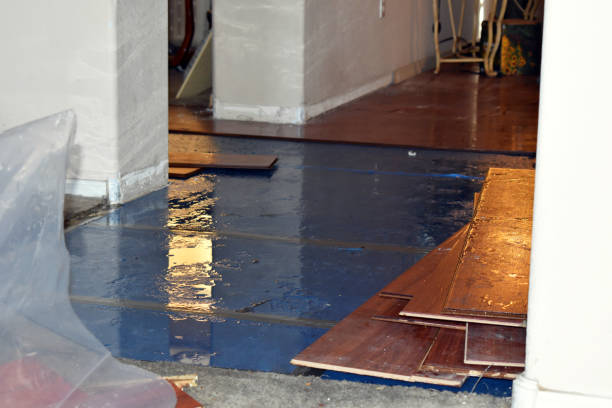 Professional Emergency Water Damage Restoration technician working in Beulah, MI